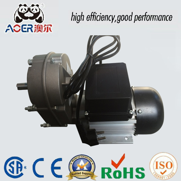 AC Single Phase Reversible Slow Speed 250W Electric Motor with Gear Reduction