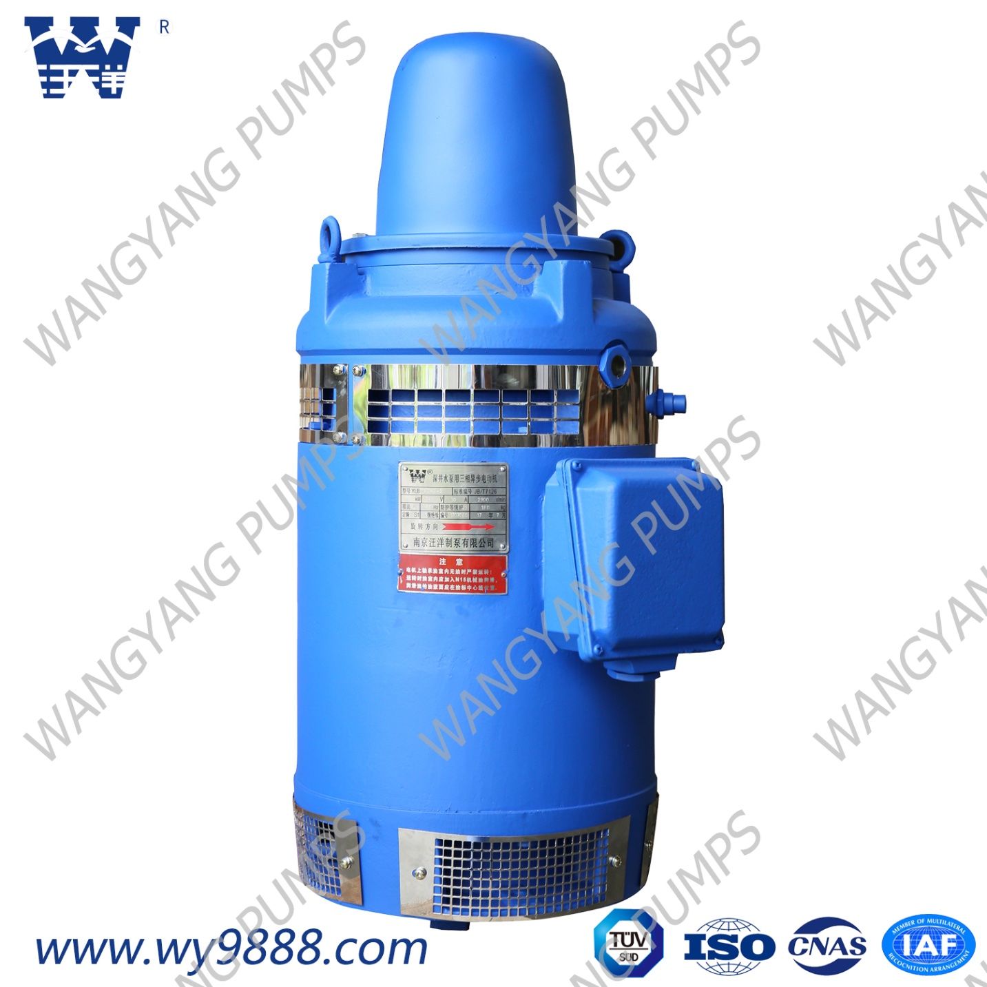 Vhs (IP23) Series Vertical Hollow-Shaft Asynchronous Motor for Deep Well Pump