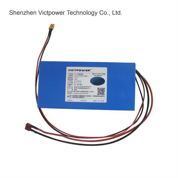 Rechargeable Power Supply 25.2V10ah Lithium Ion Battery Pack