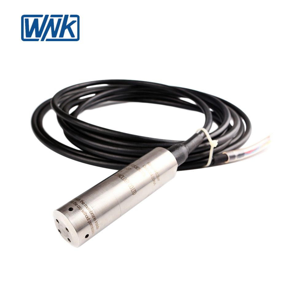 IP68 Waterproof Anti-Corrosive 4~20mA Immersion Hydrostatic Pressure Sensor for Well, Diesel Tank, Water Pool