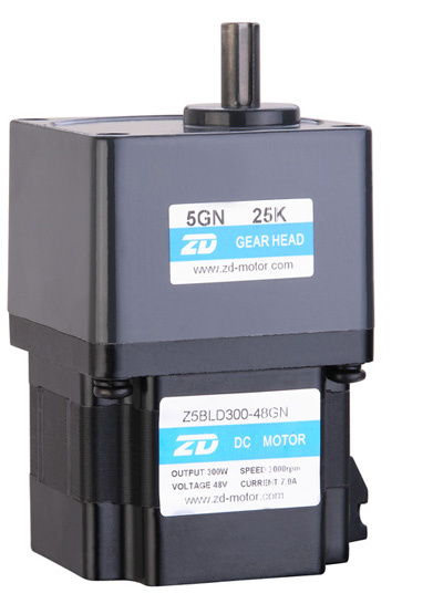 300watt 24v DC Brushless Gear Motor