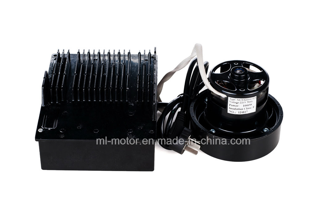 High Quality Brushless Motor Mlws-02A