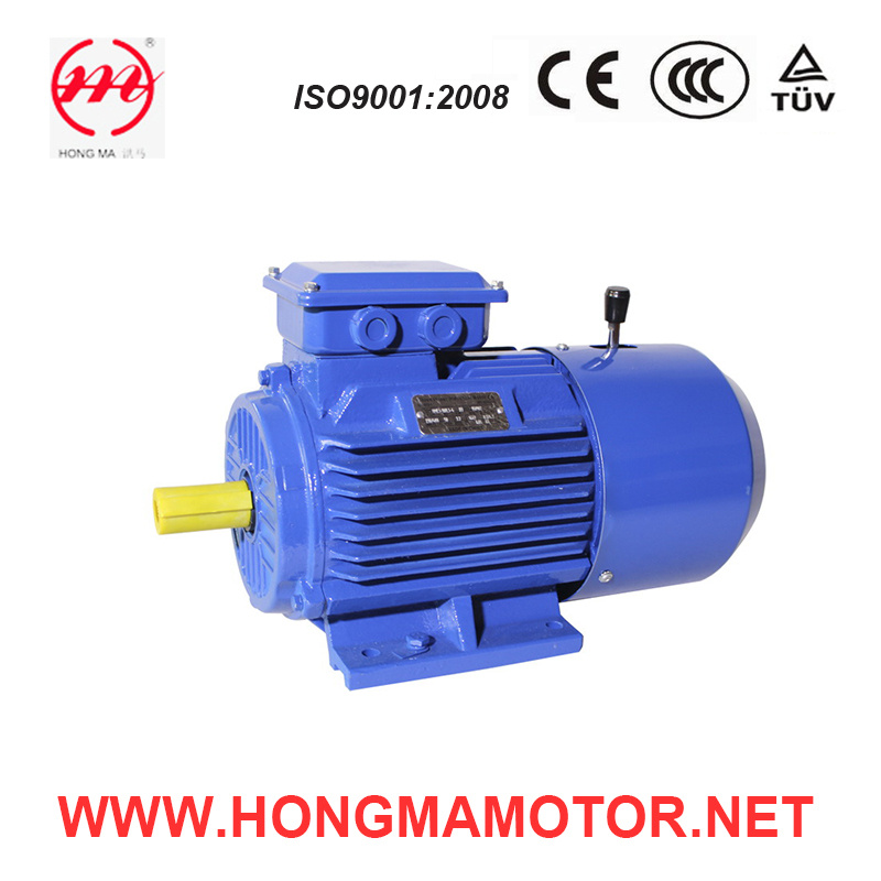 Asynchronous Induction Self-Braking Squirrel-Cage Motor (90L-6-1.1KW)