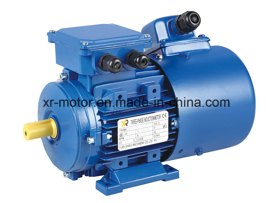 20HP, 4-Pole Ms Series 3-Phase Asynchronous Electric Motor