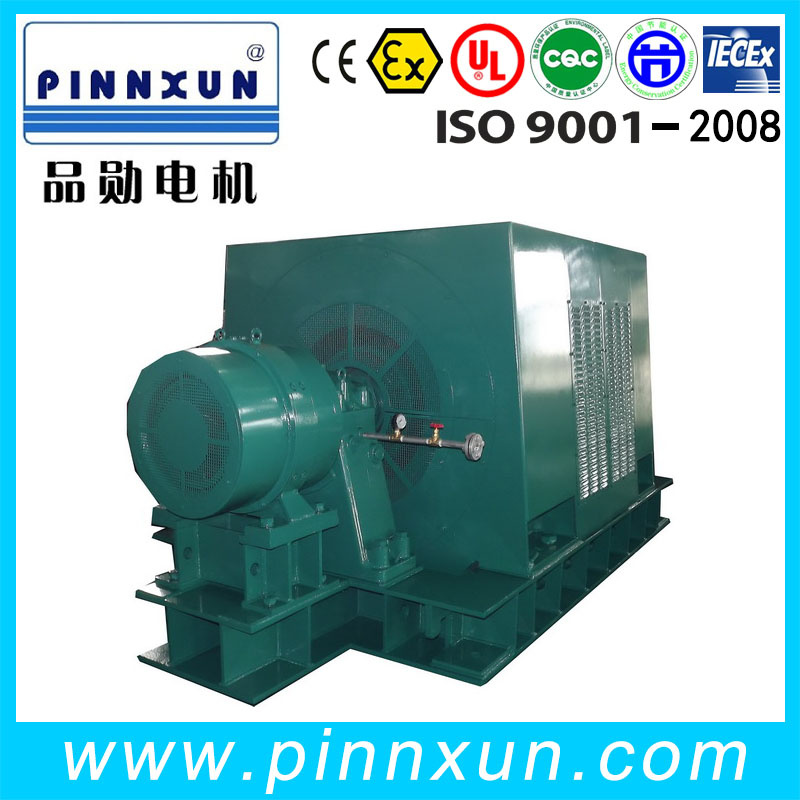 Tfw AC Synchronous Hot-Sale Wind Generators China