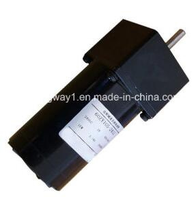 12V PMDC Spur Gear Motors for Equipment