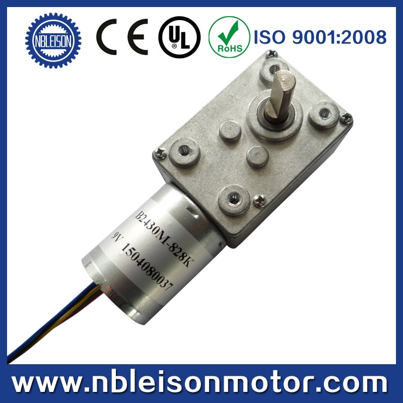 12V 24V Small DC Brushless Gear Motor with Worm Gearbox