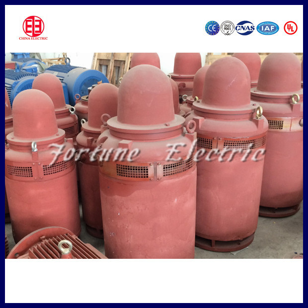 IP54 Totally Enclosed Electric AC NEMA Premium Efficiency Motor