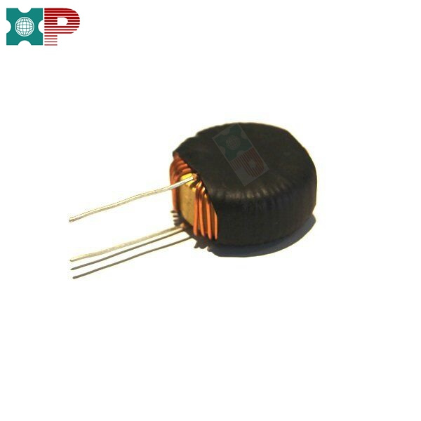 Choke Coil with Protector/Different Mode Choke Coil
