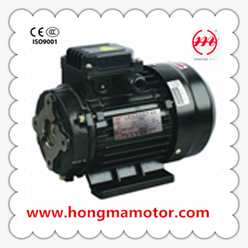 Fs 80~160 AC Electric Motor