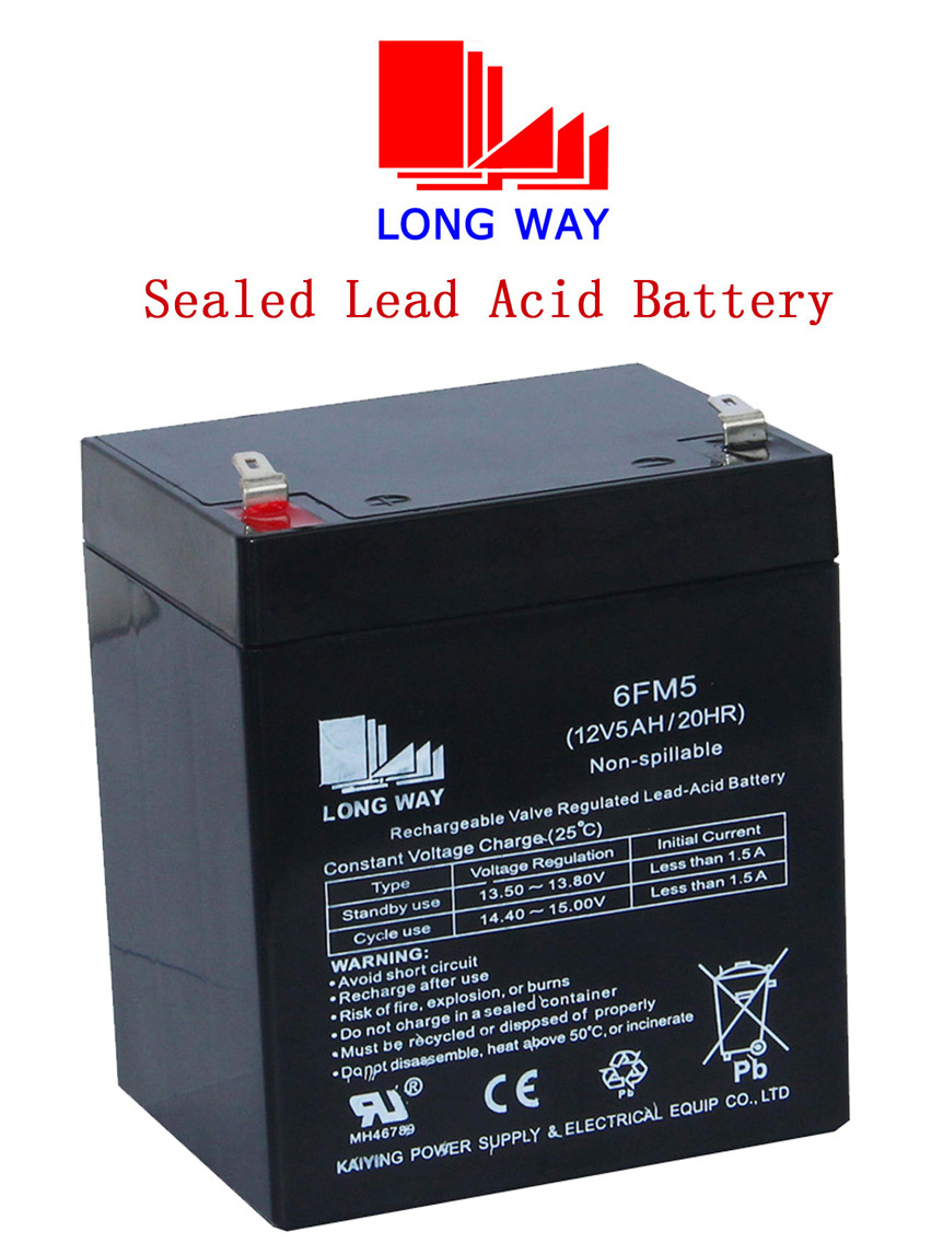 6FM5 Rechargeable AGM Deep Cycle Battery for Emergency Security System