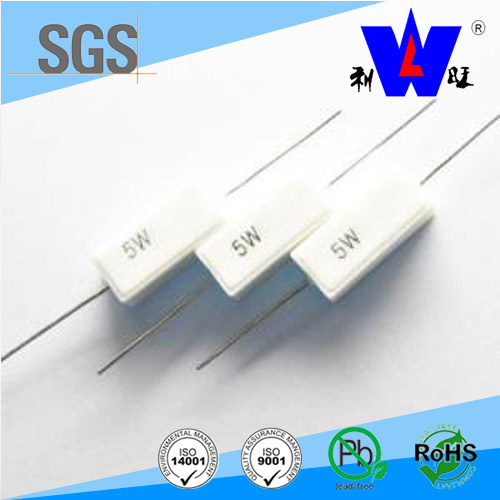 Rx27 Ceramic Encased Wirewound Resistor with ISO9001