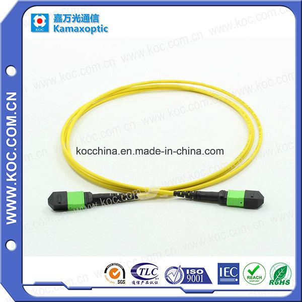 MTP-MTP Fiber Optic Patch-Cord