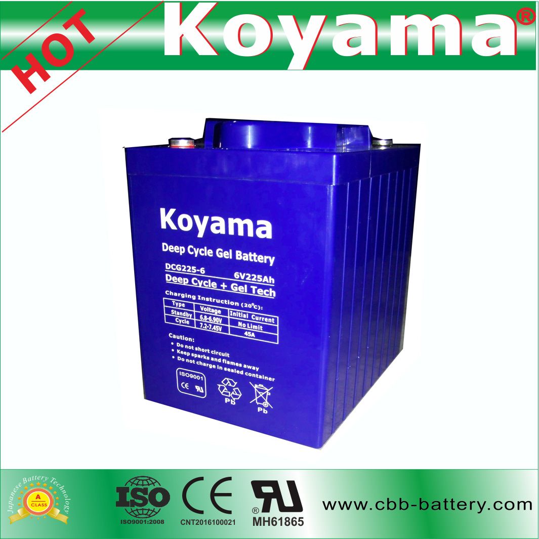 Dcg225-6 6V 225ah Long-Life Deep Cycle Gel Battery for Sweeper