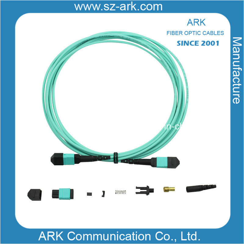 MPO/MTP 12 Cores Om3 Cable Optical Fiber