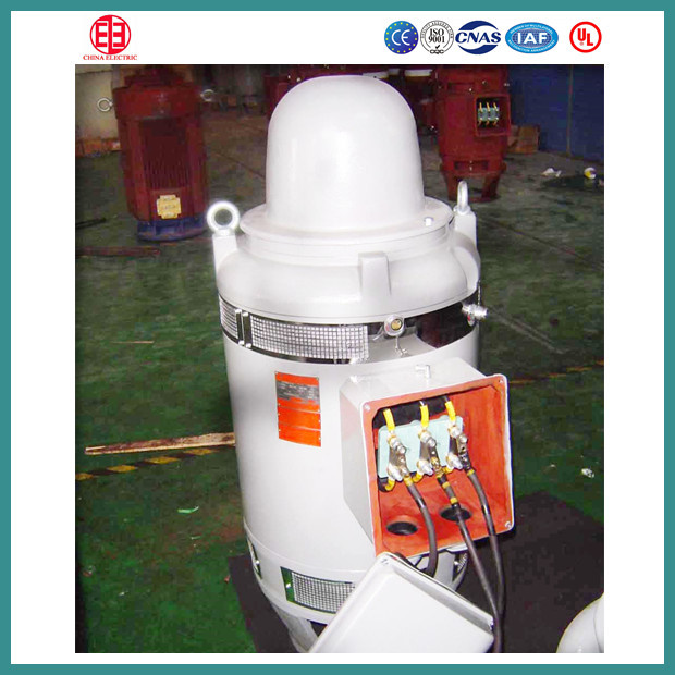 Deep Well Turbine Pump Vertical Hollow-Shaft Motor
