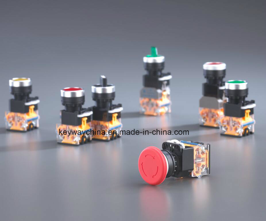 Keyway Push Button Switch with Red and Green Colors