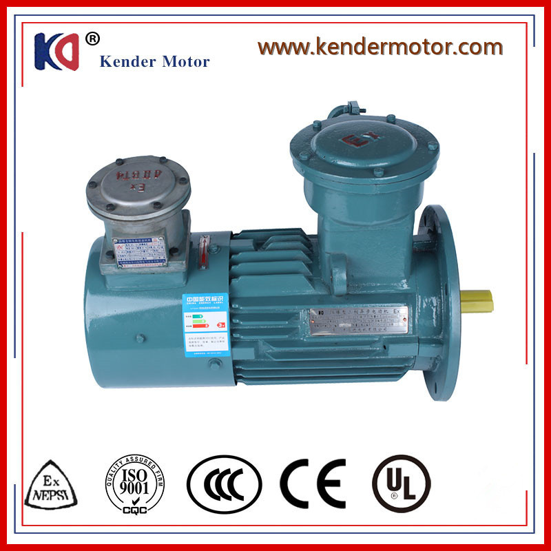 Frequency Conversion Three-Phase Explosion-Proof Induction Motor