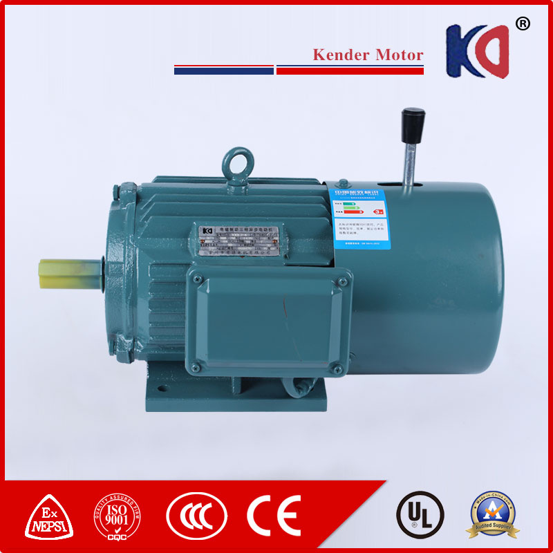 Cast Iron Electromagnetic Brake Induction Motor
