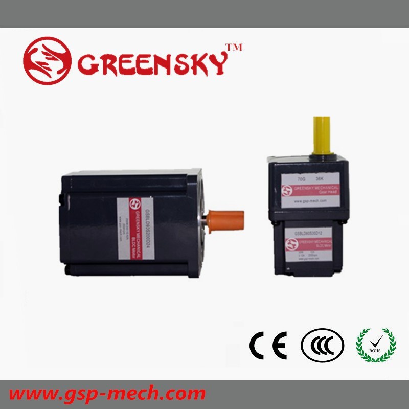 60W Micro DC Square Type Gear BLDC Motor