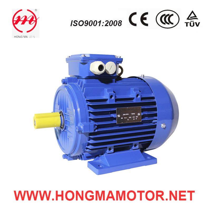 Ie3 Three Phase Asynchronous Induction Motor with Aluminum Housing (160L-6-11KW)