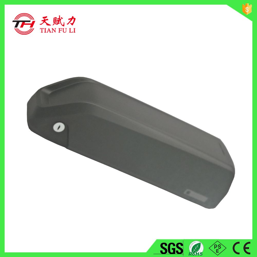 OEM Rechargeable 48V E-Bike Lithium Battery with Charger
