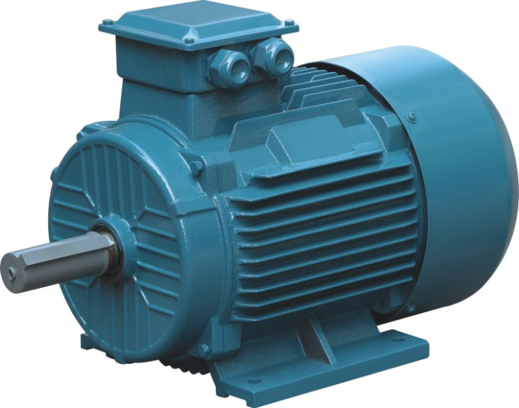 Ce 1000rpm 6p Tefc Three Phase Induction Motor