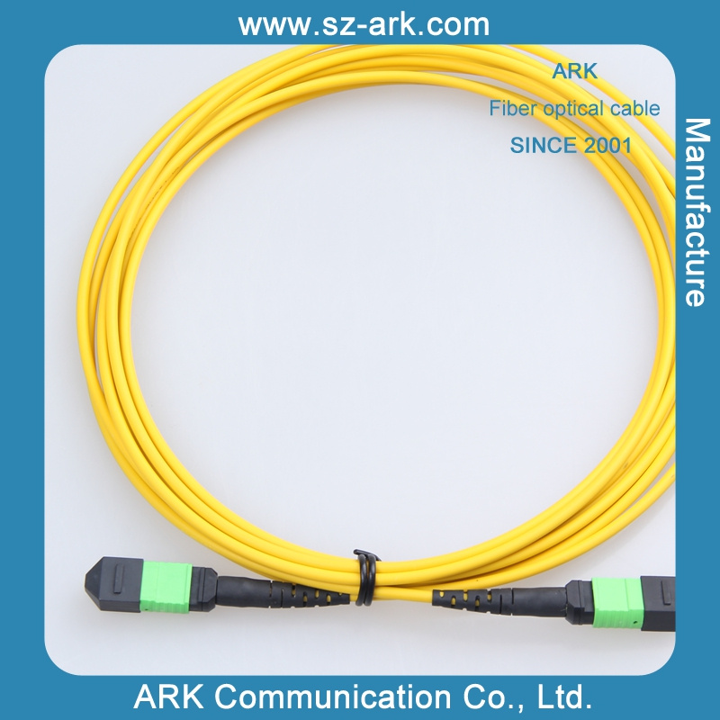 MPO Fiber Optic Cable From Shenzhen Factory