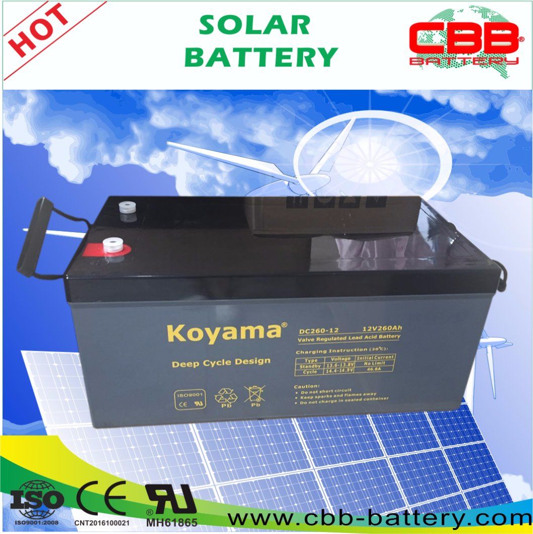 Long Cycle Life 12V 260ah Deep Cycle AGM Storage Battery