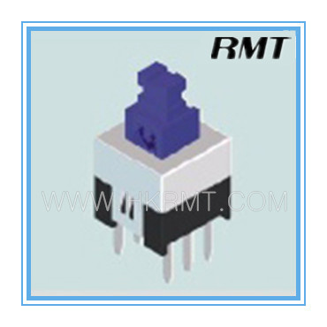 Push Button Switch (P1070D10011)
