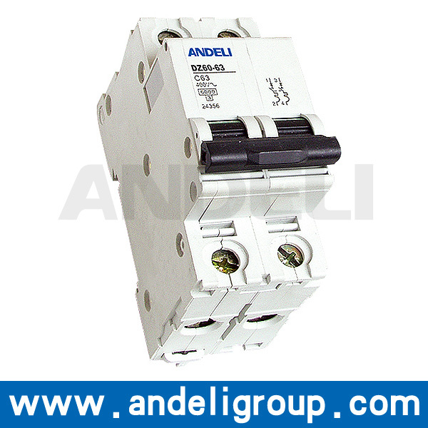 Electric MCB Miniature Circuit Breaker (DZ60-63)