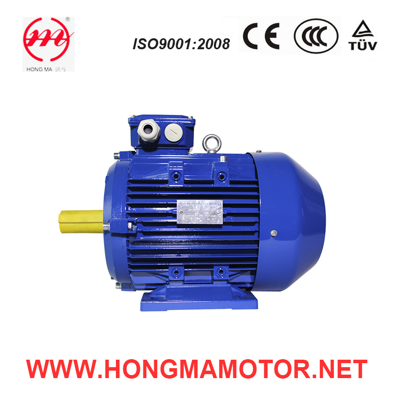Hm Ie1 Asynchronous Motor / Premium Efficiency Motor 355m1-10p-90kw