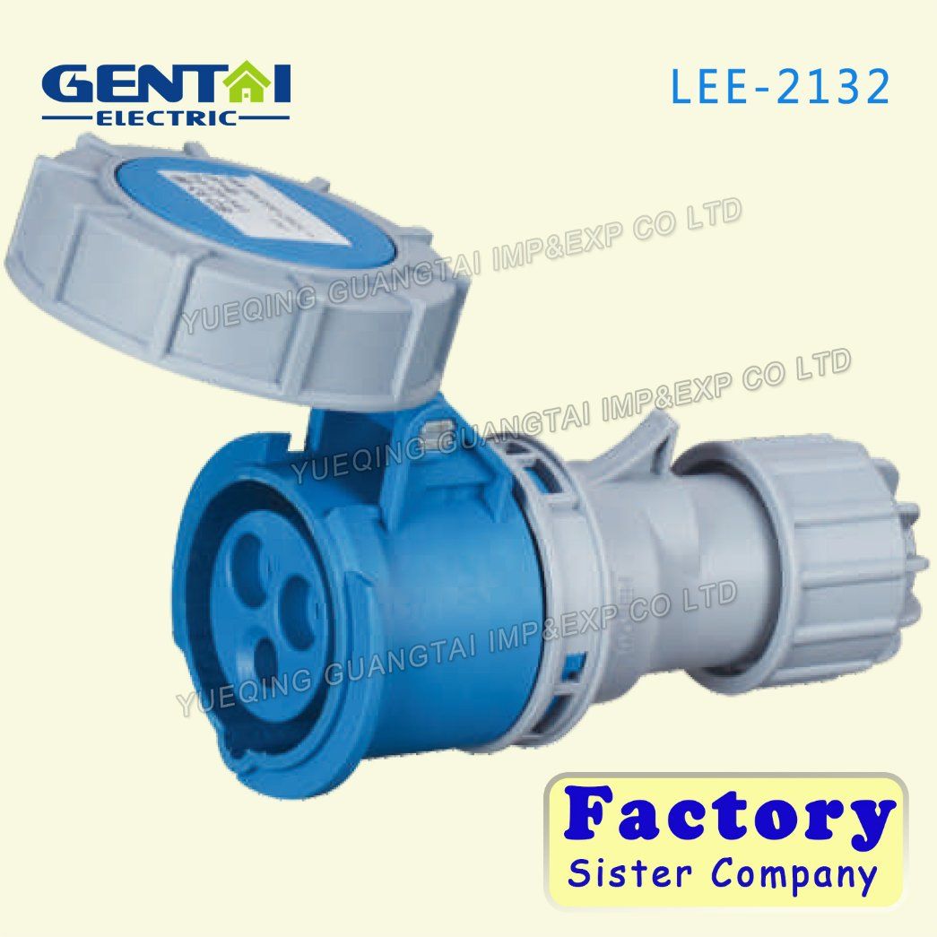 High Quality Socket with Au Standard Plugs