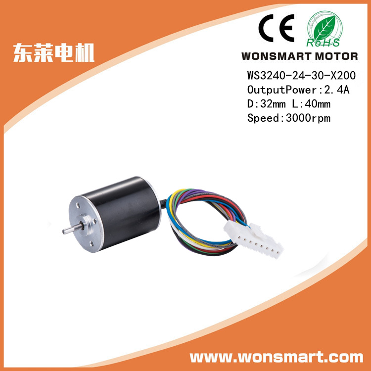 Micro DC Motor 24 V Motor