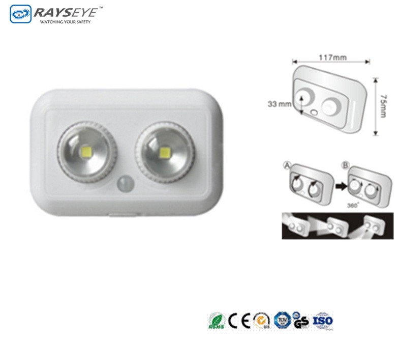 Dual Light Sensor Light Angle Adjusted