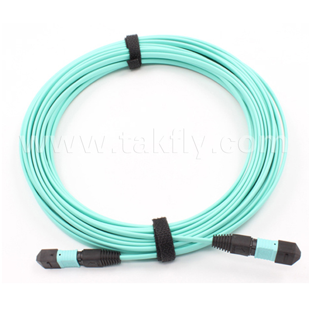 Low Insertion Loss LSZH 8f/12f/24f Om3 MTP/MPO Patch Cord