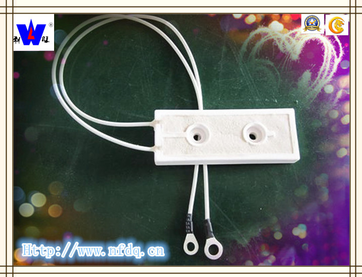 Ceramic Encased Resistor with ISO9001 (Rx27-8)