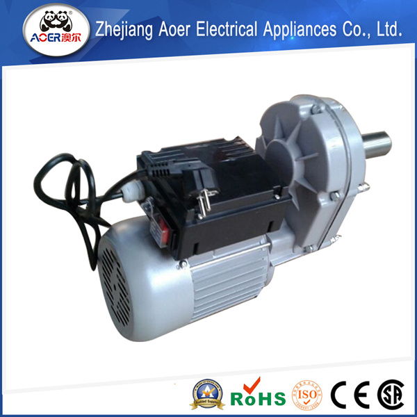 AC Small Single Phase Geared Motor 28rpm