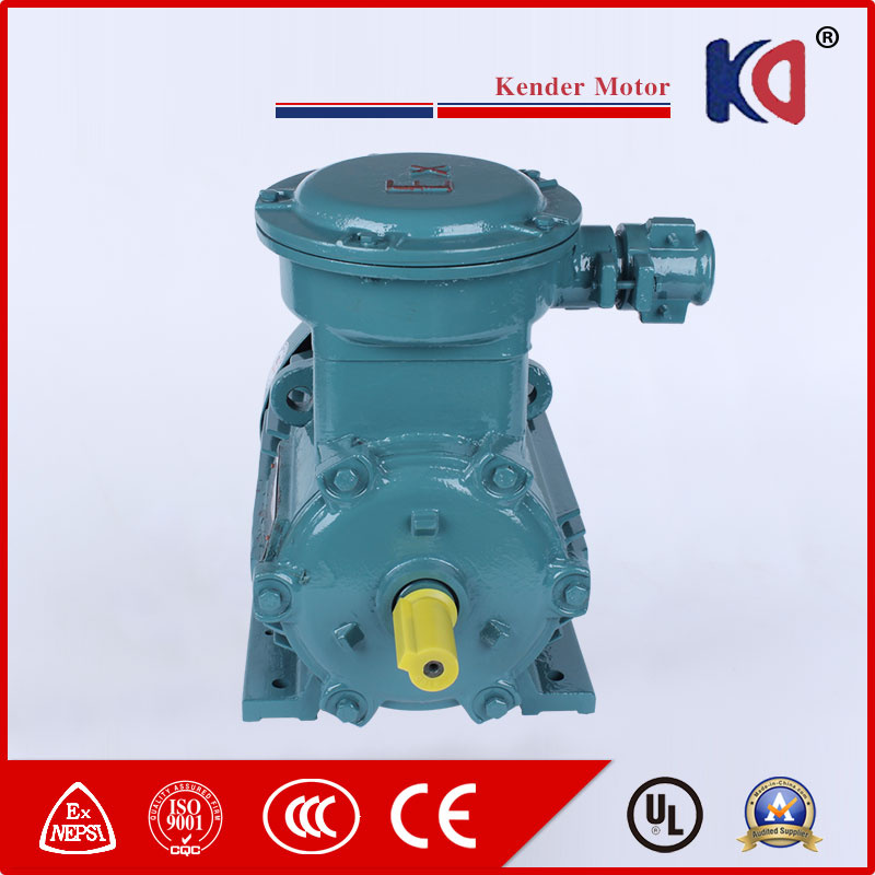 Explosion Proof AC Electrical Motor for Food Industry