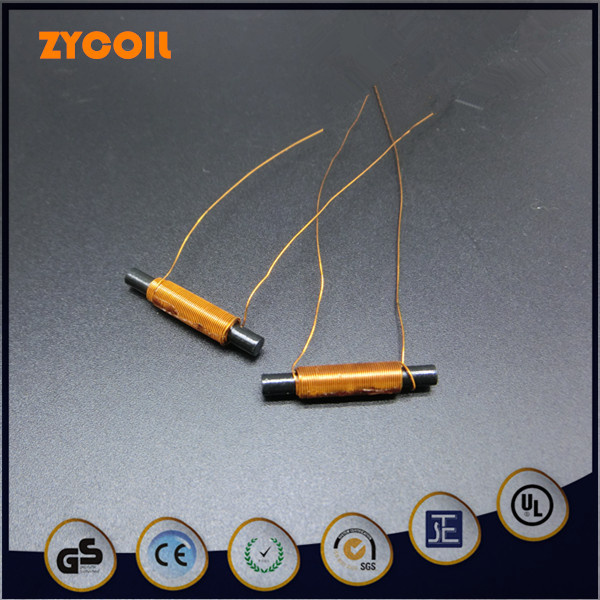 Magnetic Coil 220V