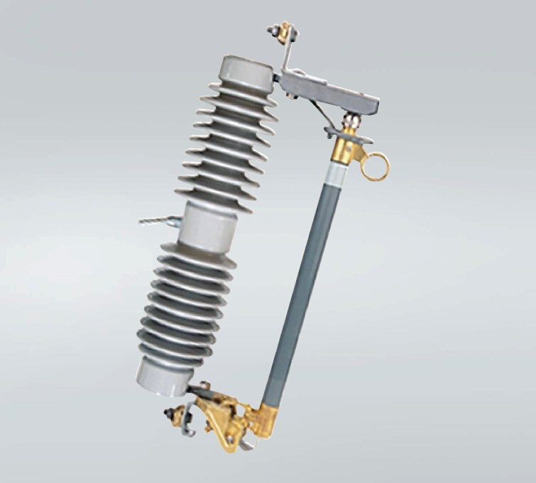 Leading Polymer Housed Fuse Cutout