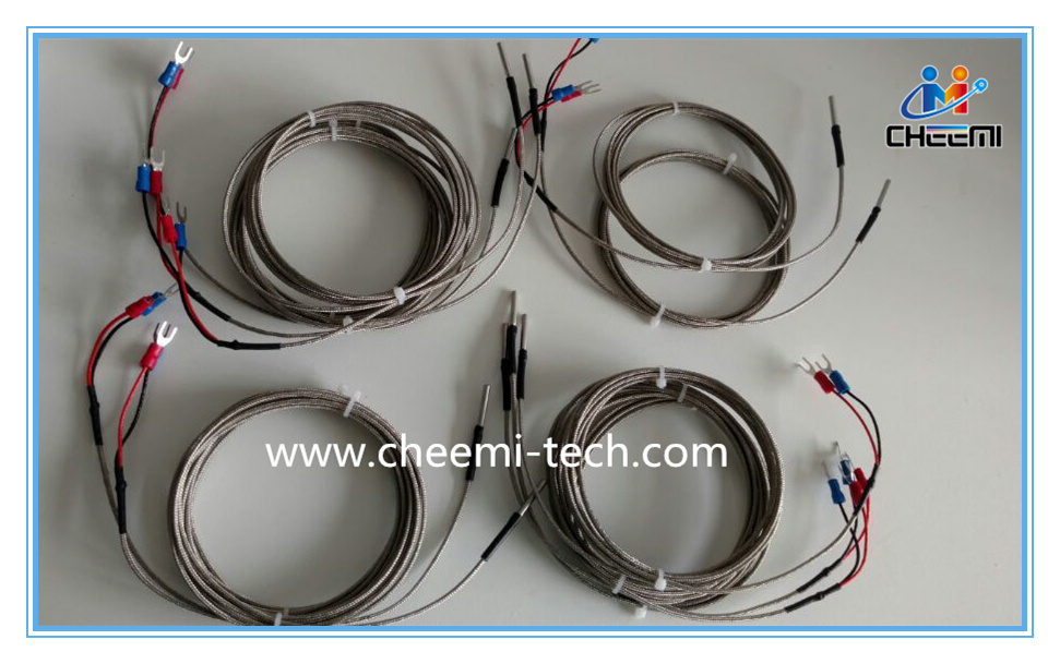 Rtd Temperature Probes for Devices and Plants 2-Wire 3-Wire 4-Wire
