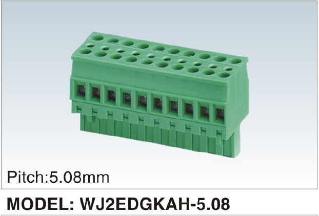 New Developing PCB Terminal Block (WJ2EDGKAH-5.08mm)