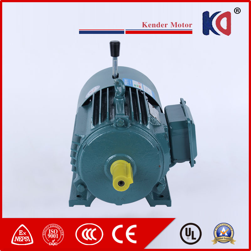 380V 50Hz Brake Asynchronous Phase Electromotor with Latest Design