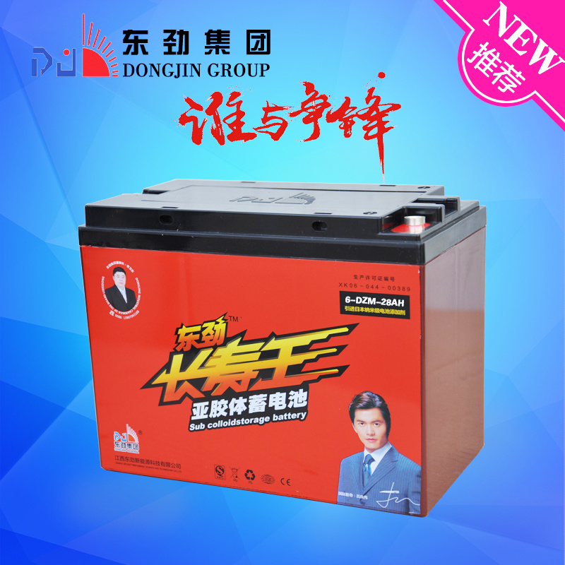 12V28ah Rechargeable Electric Car Battery