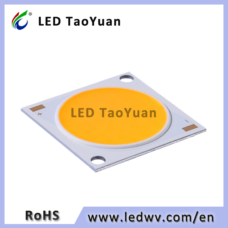 Taoyuan 28*28/24 20W Wholesale LED COB Chip Diode