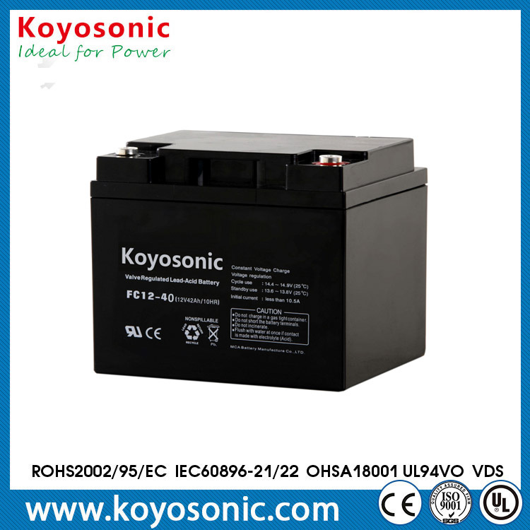 Reliable Quality 12V40ah VRLA AGM UPS Power Storage Battery