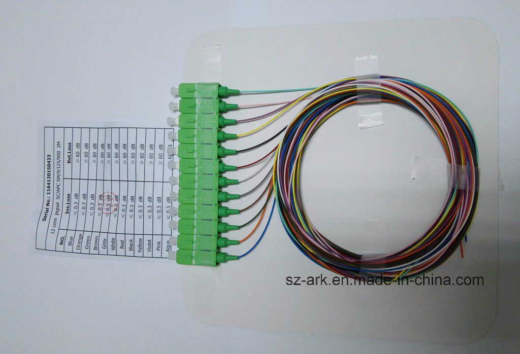 Optical Fiber for Sc/APC 12 Corlored Fiber Optic Pigtail (2m)