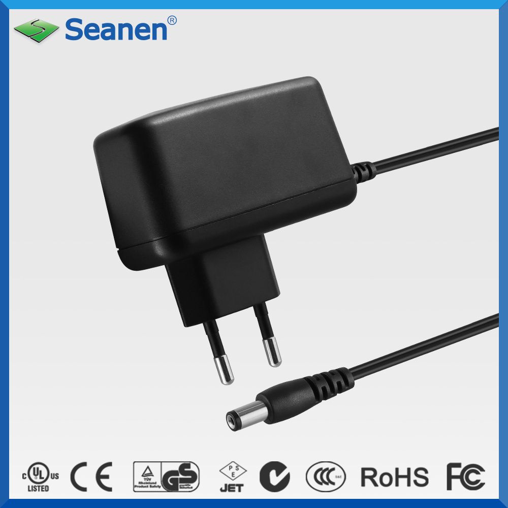 Customized 12W 12V 1A DC GS AC Switching Power Adapter