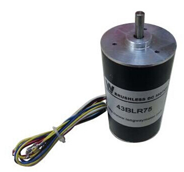 43mm Brushless DC Motor